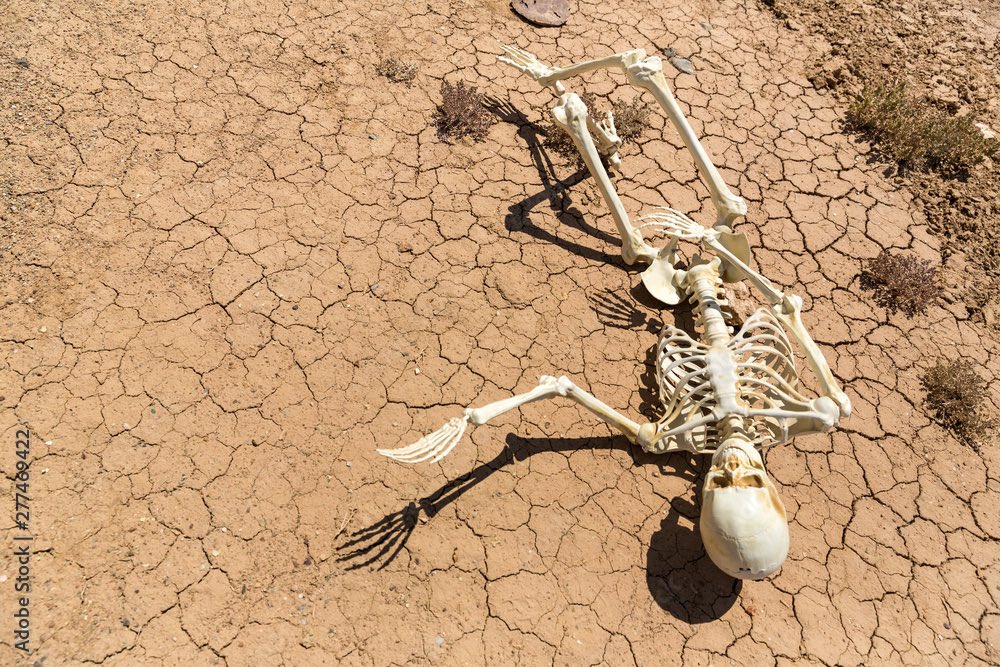 While @ AC tweet media