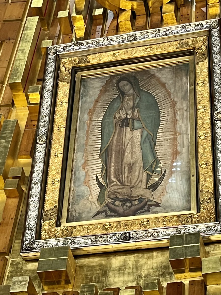 jssttco's tweet photo. Gracias Santísima Madre de Guadalupe por permitirnos visitarte; Dulce madre no te alejes, tú vista de mi no apartes, ven conmigo a todas partes y solo nunca me dejes 🙏🙏01.Jul.2023 https://t.co/2wRLhspx62