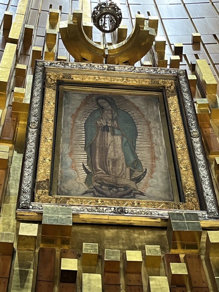 jssttco's tweet photo. Gracias Santísima Madre de Guadalupe por permitirnos visitarte; Dulce madre no te alejes, tú vista de mi no apartes, ven conmigo a todas partes y solo nunca me dejes 🙏🙏01.Jul.2023 https://t.co/2wRLhspx62