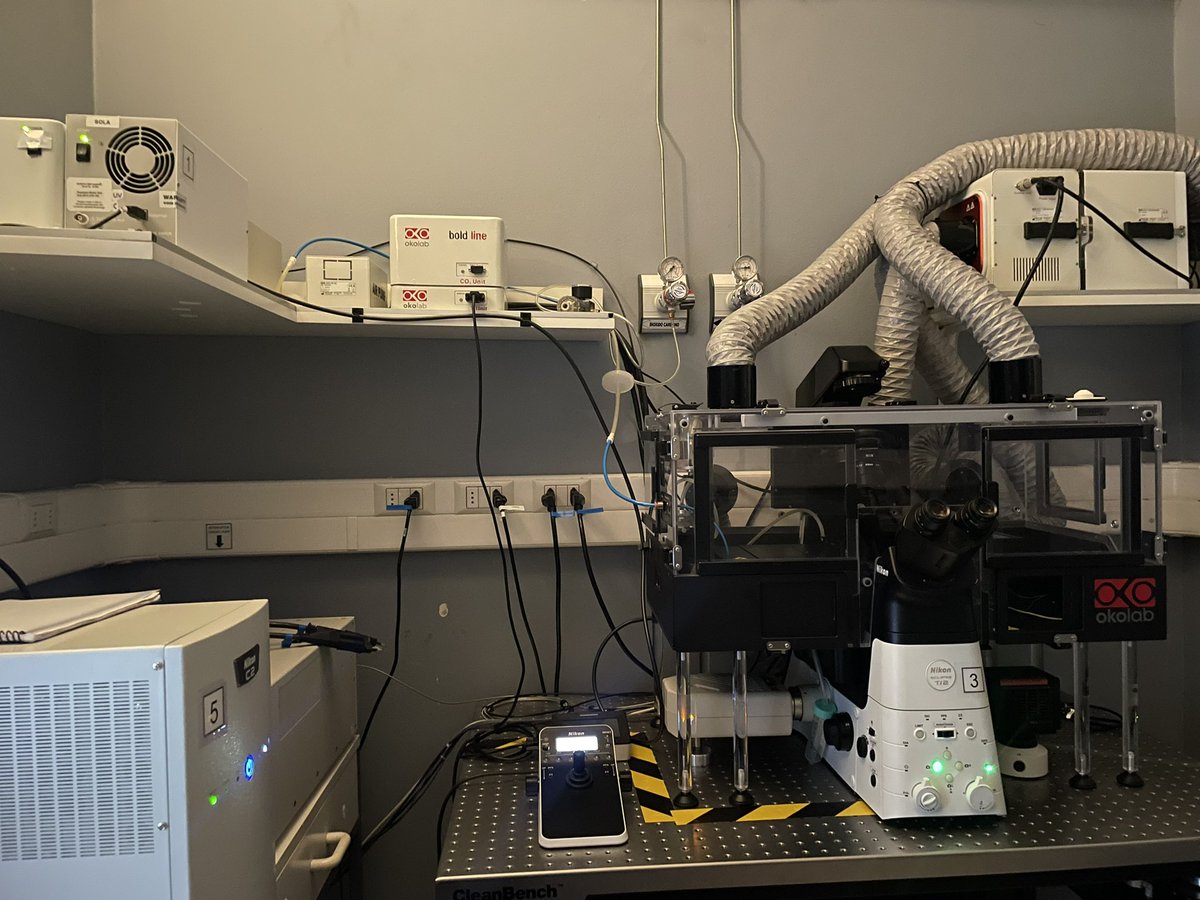 HugoAlmarza's tweet photo. My toy today 🔬🧫
Nikon Microscope Timelapse
#confocalmicroscope #microscopy #cellbiology #neurons
@ucatolica Unidad de Microscopía Avanzada (UMA). https://t.co/o8pHJn8OKf