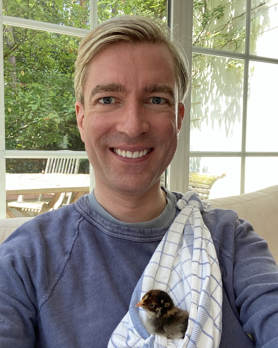 Guitig gezelschap.
(En vooral heel lief, doddig en aanhankelijk!)
Een weesje, maar flink, sterk en welkom onder mijn vleugels.
Heb je suggesties voor een naam?
🐥
#kippen #kip #kuiken #kuikentje #barnevelder #kippenhouden #kippenindetuin #dieren #tuin #buitenleven #natuur #chicks