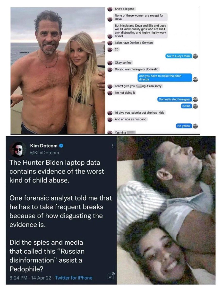 Zippy tweet media