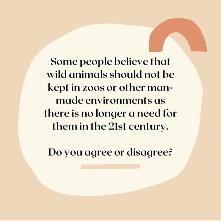 PSasing23's tweet photo. Let's try to improve and develop your ideas on writing tasks! 🤯

#sasingubb #WritingCommunity #English #essaywrite #ideas https://t.co/J9GFv9atAH