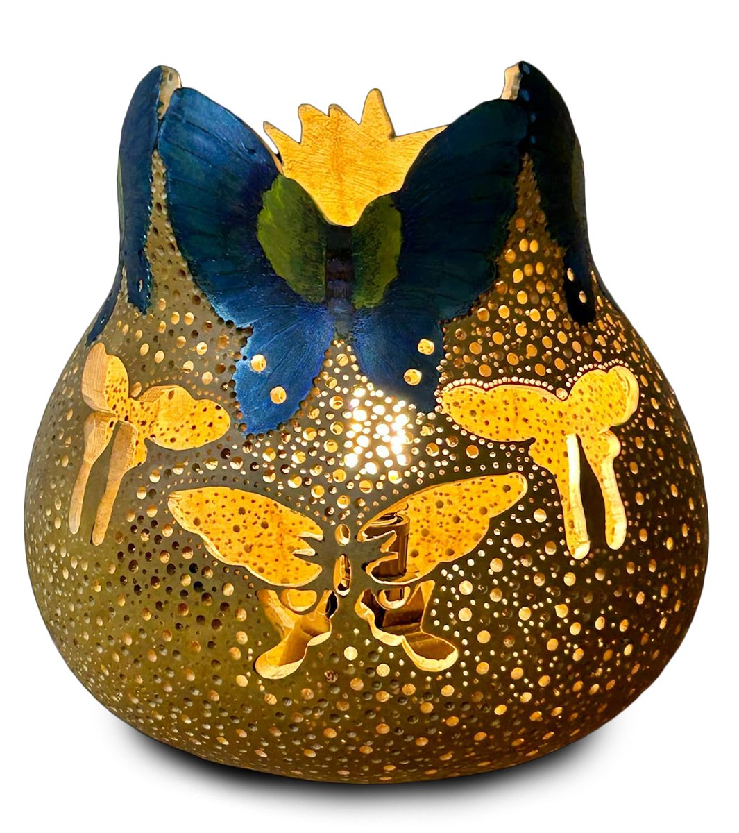 Tessa Stokes transformed her gourd into this gorgeous butterfly lamp! 🦋