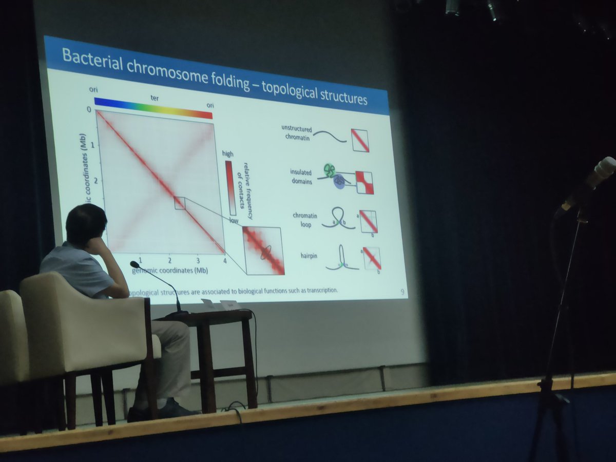Aël Hardy tweet media