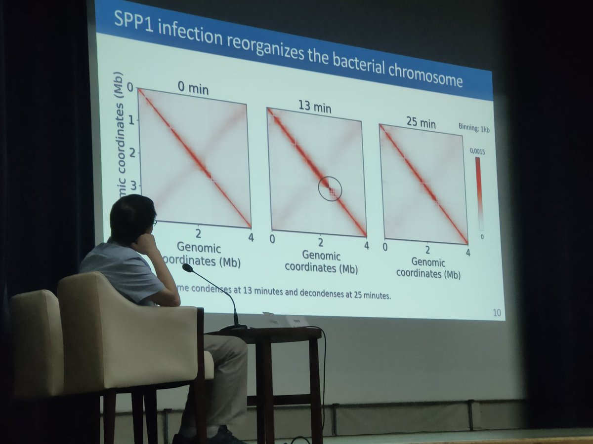 Aël Hardy tweet media