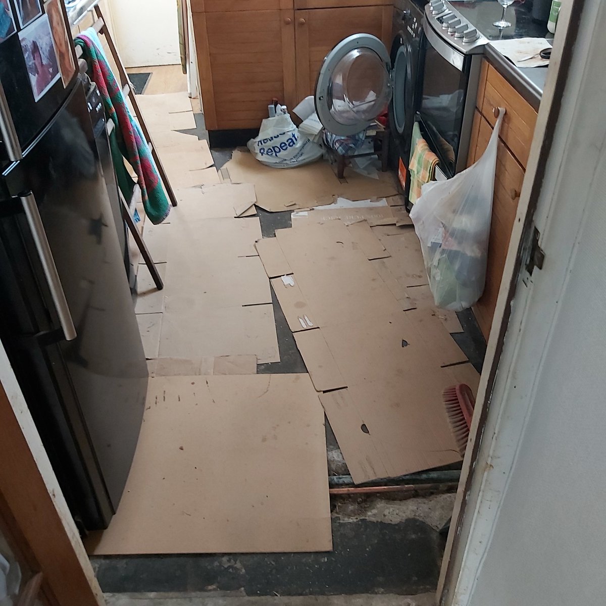 ADRIAN EVANS tweet media