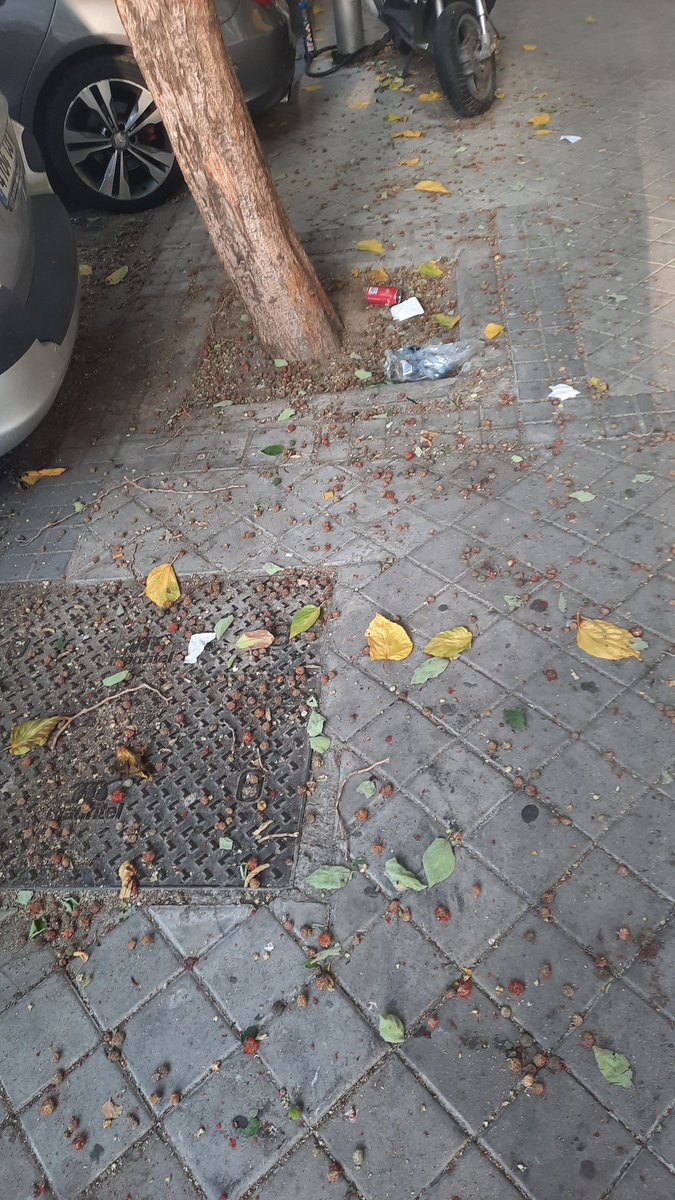EstherArroyo's tweet photo. .@AlmeidaPP_ @MADRID @ppmadrid @Lineamadrid ¿Cuándo vais a atender las necesidades de los barrios de #Madrid? Soportamos un constante vertedero. No se puede vivir así. Poco difiere ya de una ciudad tercermundista. @AscoMadrid #CiudadLineal #limpieza https://t.co/SEB97sNVf0