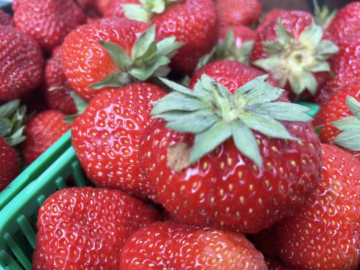CreateWithMom (@torviewtor) on Twitter photo It is time to enjoy the abundance of fresh Ontario Strawberries!
Check #TorviewToronto.com and #CreateWithMom.com for strawberry inspired #recipes
<a href="/OntarioBerries/">Berry Growers of Ontario</a>
torviewtoronto.com/search?q=Straw… It is time to enjoy the abundance of fresh Ontario Strawberries!
Check #TorviewToronto.com and #CreateWithMom.com for strawberry inspired #recipes
<a href="/OntarioBerries/">Berry Growers of Ontario</a>
torviewtoronto.com/search?q=Straw…