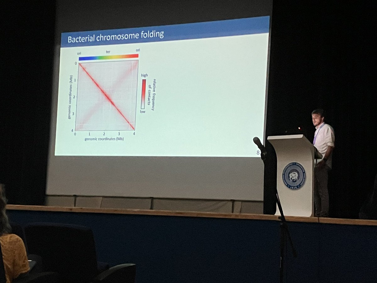 Martial Marbouty (@marboutm) on Twitter photo Great talk by <a href="/ABignaud/">Amaury Bignaud</a> that study the impact of SPP1 phage infection on Bacillus subtilis genome expression and spatial Organization!!
#vom2023 Great talk by <a href="/ABignaud/">Amaury Bignaud</a> that study the impact of SPP1 phage infection on Bacillus subtilis genome expression and spatial Organization!!
#vom2023