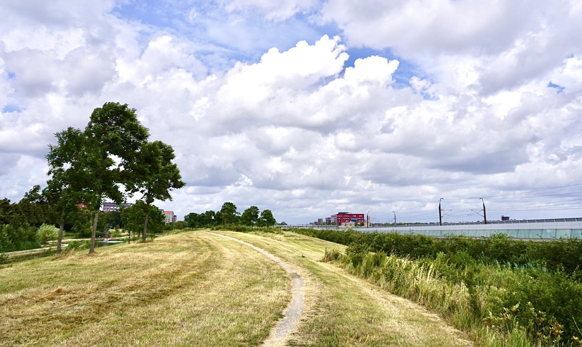ol2016's tweet image. Zo … en nu even uitwaaien in  het #AMGSchmidt park na de #storm in #lansingerland @EdAldus #buienradar 😀