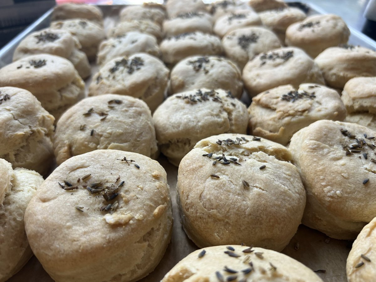 Sun in my Belly tweet media