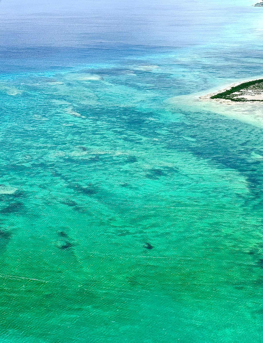 Sachin Chaudhary tweet media