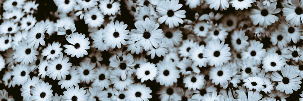 BoromandEli's tweet photo. سلام
یه مقدار بک دارم میخوام بدم بهتون😉
فالو =فالو
لایک =لایک
ریت=ریت
#حمایت https://t.co/hMRvTIKhco