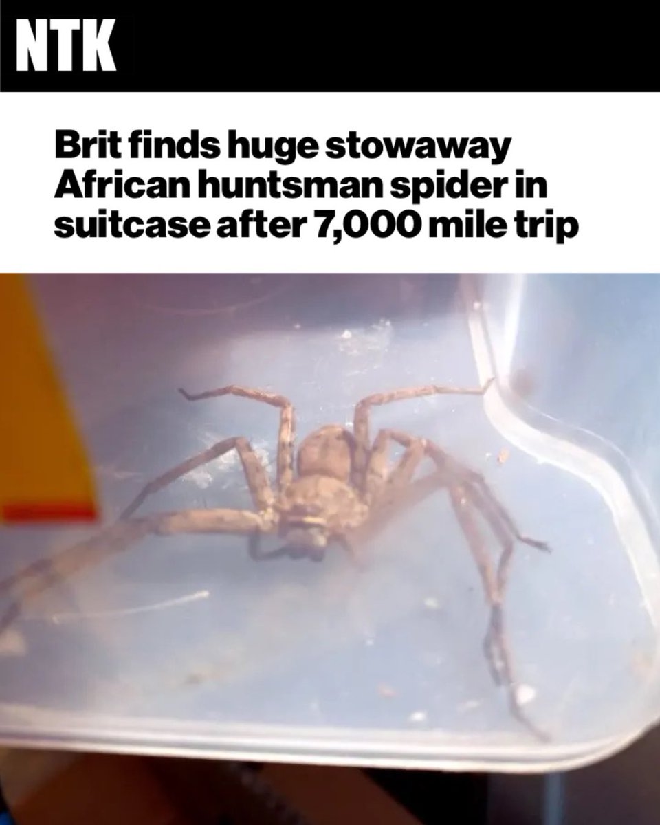 Need To Know tweet media