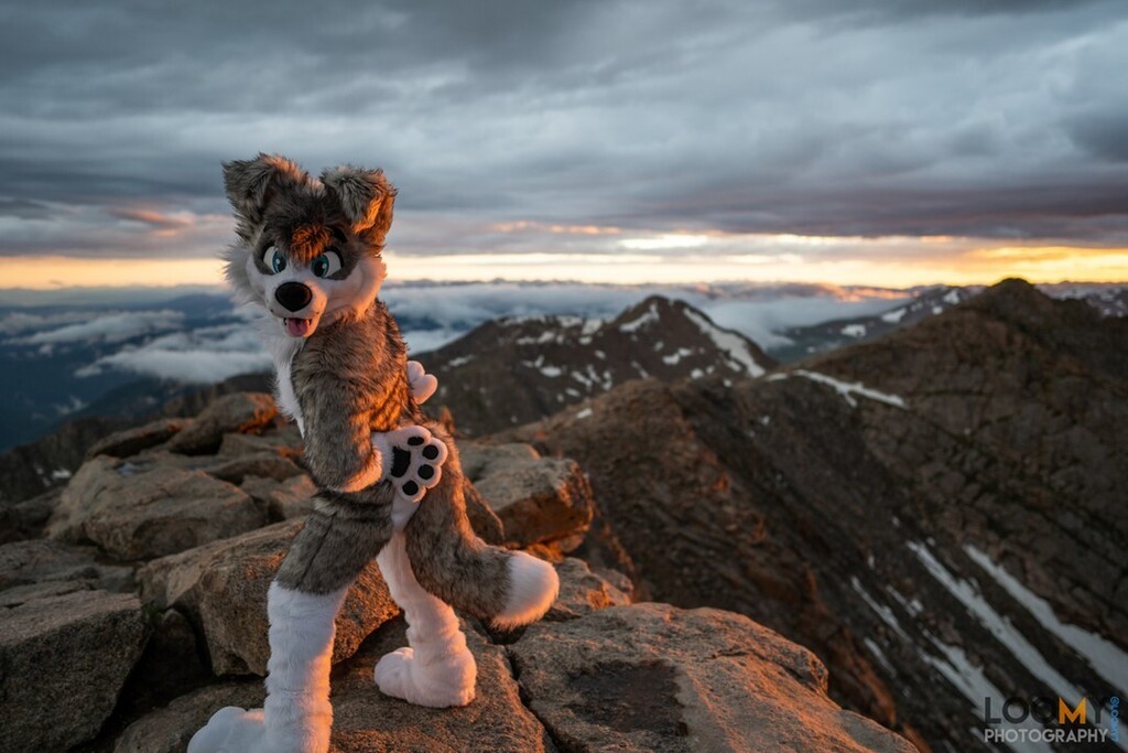mountain trip? credit: Loomy7 #Furry #Furryfandom #Fursuit #FursuitEveryday