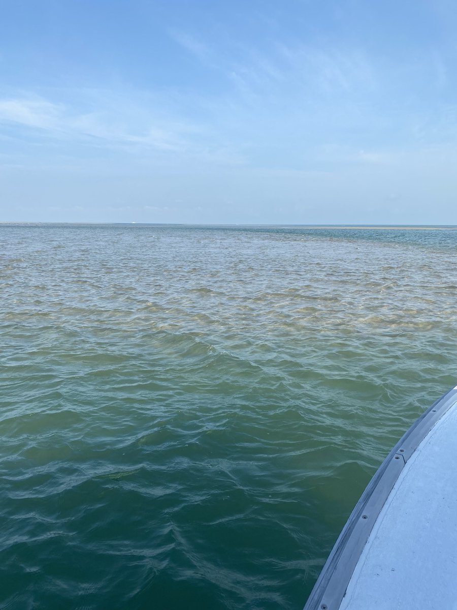 seasaltnc's tweet photo. Work pics https://t.co/q4Sb6tEq4D