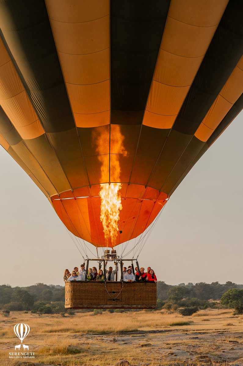 Serengeti Balloon Safaris tweet media
