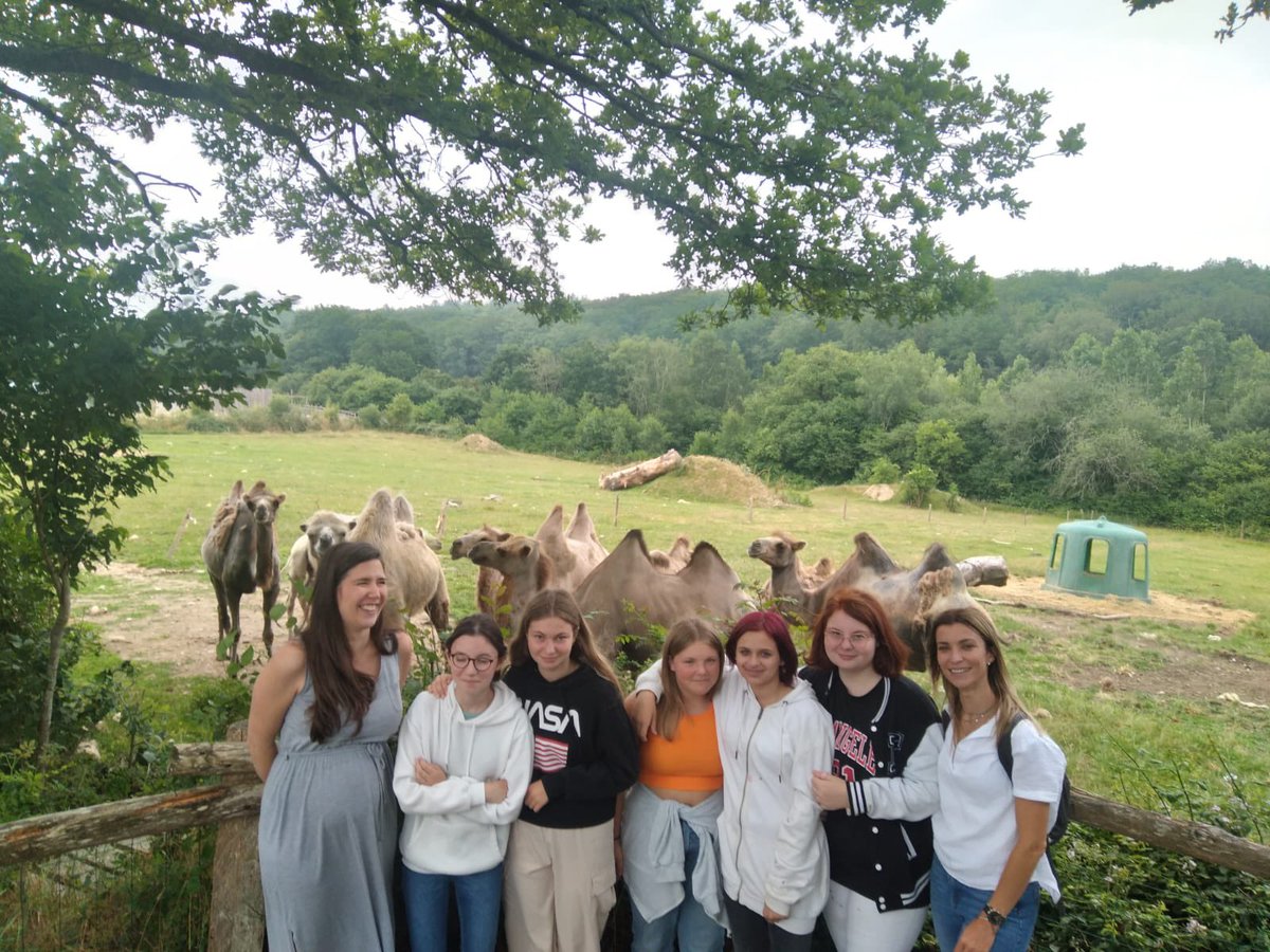 Les élèves de l’atelier réussite ont été accueillies au Parc animalier d’Ecouves. Elles ont découvert le métier de soigneur animalier et profité d’une balade animalière. Cette journée vient clore leur parcours de découverte des métiers, encadré toute l’année par Mme Le Roux, CPE.