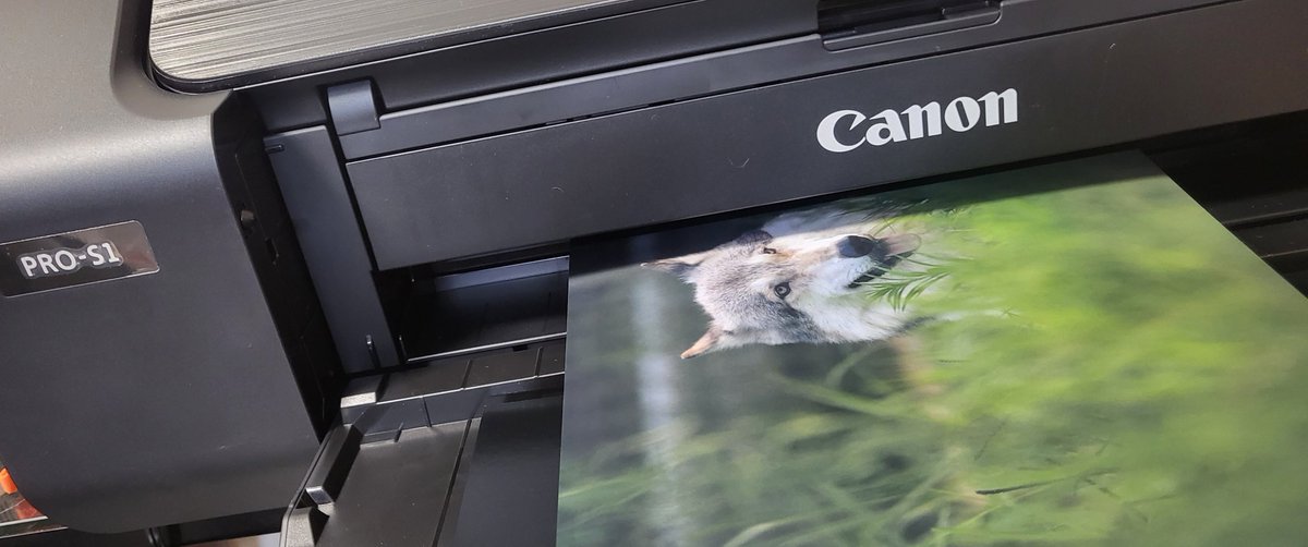 garou_wolfphoto's tweet photo. ๅๅฑใซๅใใฆ My new gearโฆ
ๆฌกๅๅๅฑใฏๅ
จ้จ canon pro-s1 ใงๅฐๅทใใใใฎใซใชใใพใใ
#canon #pros1 https://t.co/Hr3AMv90ii