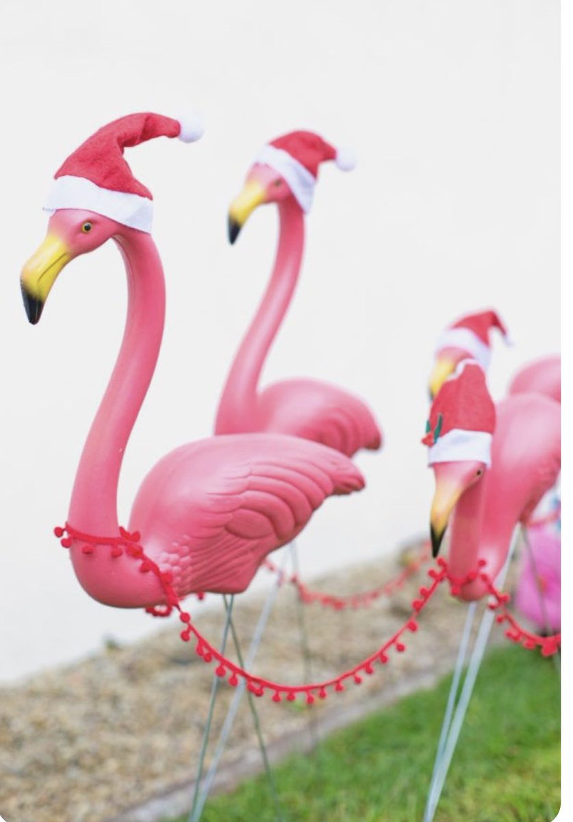 Blanchard Valley Ctr tweet media