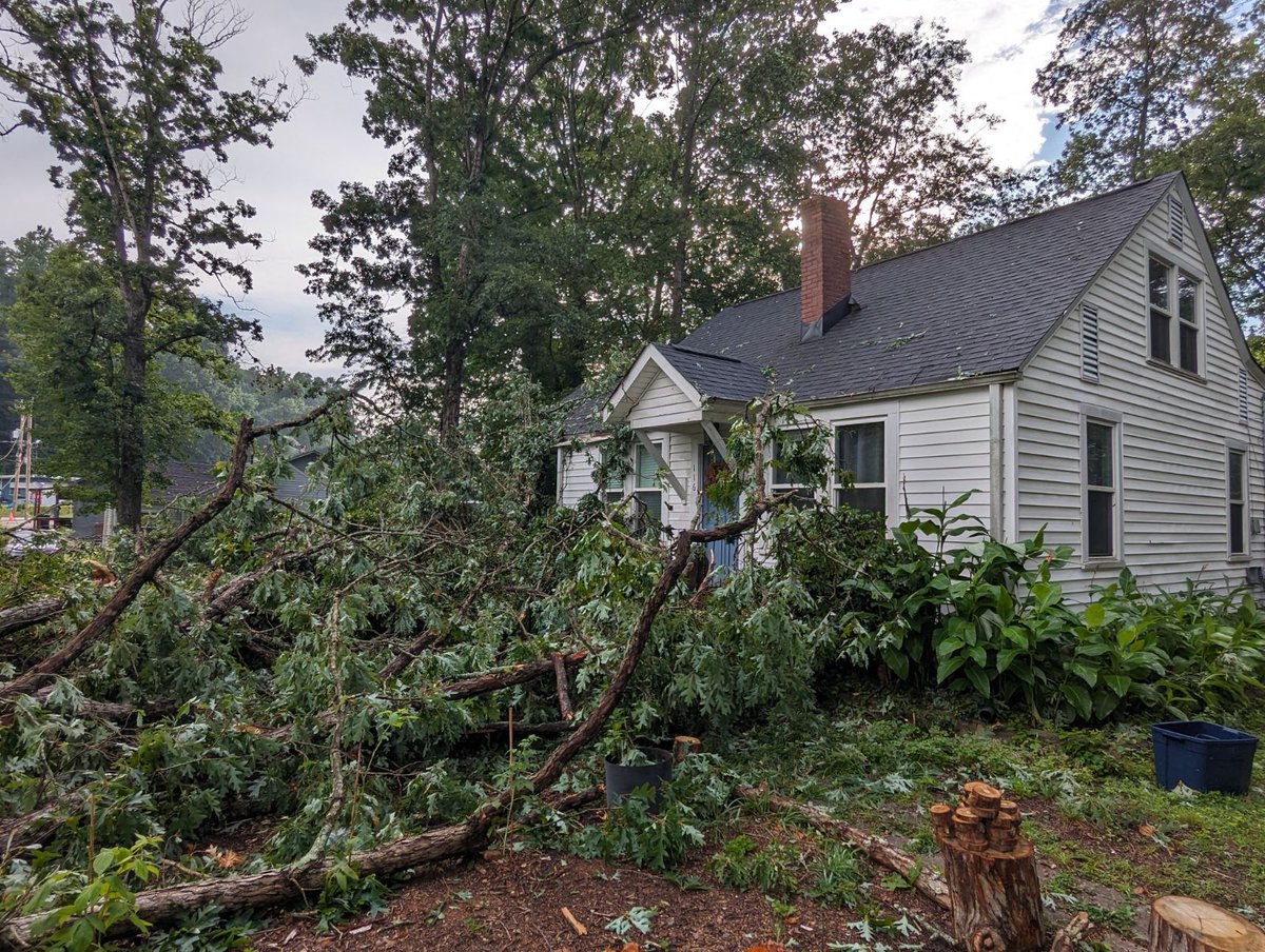 amesintheusa's tweet photo. @ReedTimmerAccu https://t.co/1R08BE6vUQ