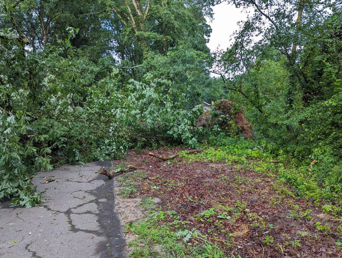 amesintheusa's tweet photo. @ReedTimmerAccu https://t.co/1R08BE6vUQ