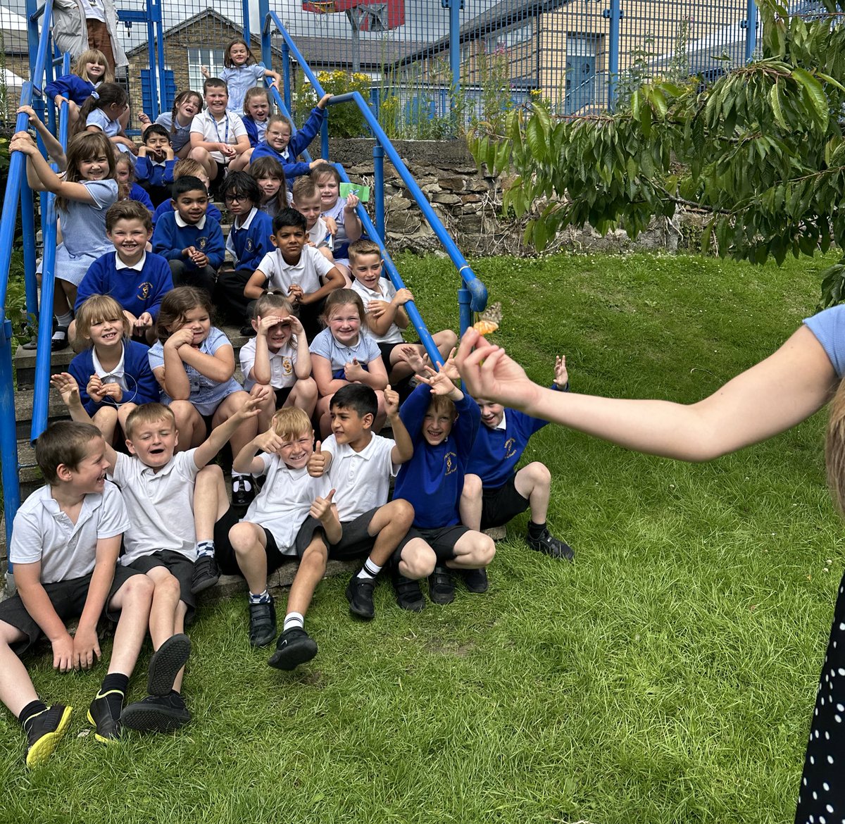 stjosephskly's tweet photo. Apple Class have LOVED their butterflies and today was their release day! 🦋 We have had lots of fun learning all about them, observing and writing about them, then finally saying goodbye. #AppleClass #SJKScience https://t.co/9LBptjUs2u