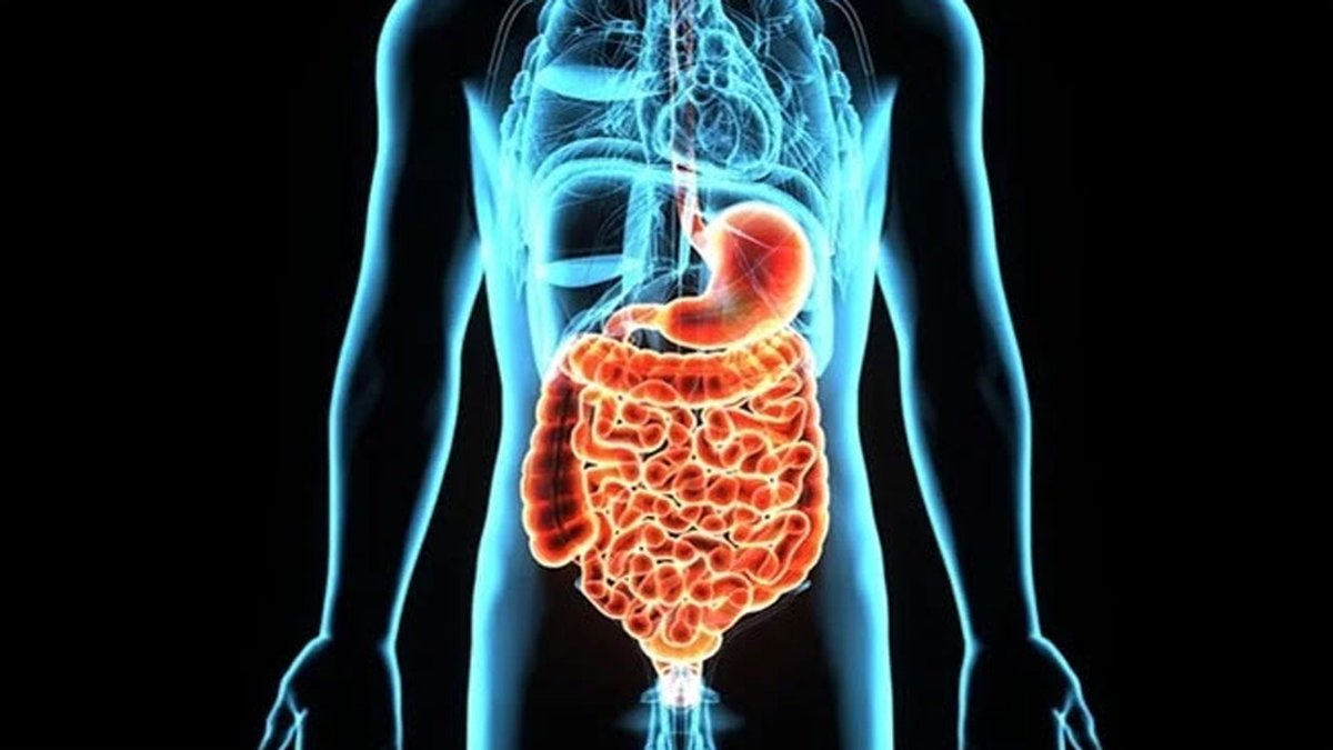 Curious about treating eosinophilic gastrointestinal disorders in your patients? Check out Dr. Nipun Reddy’s talk discussing updates in treatment and future directions at #RMH2023. Register Now! bit.ly/RMH2023 @UnivColoradoAPP