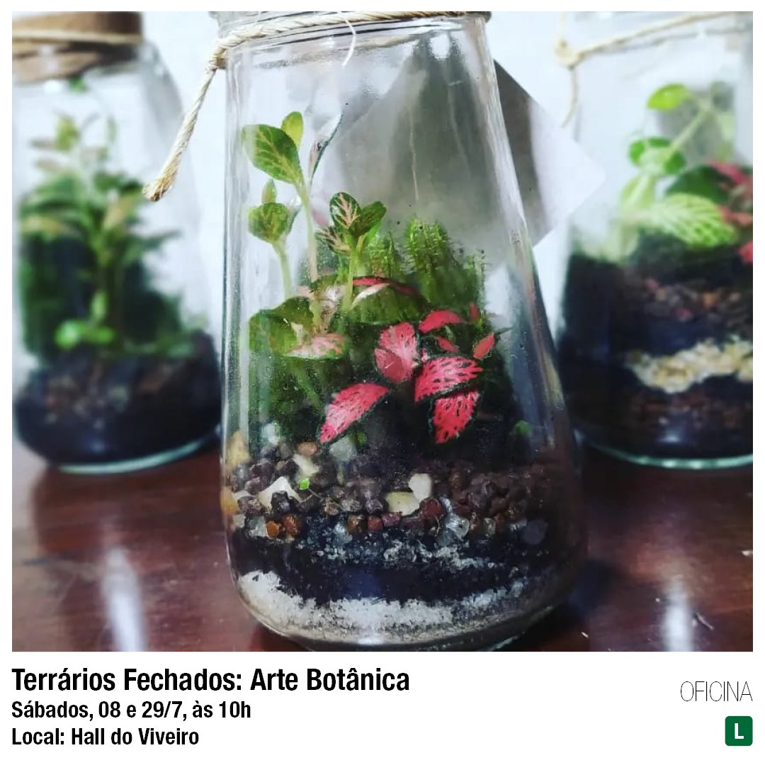 Sesc Interlagos tweet media