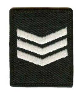 Congratulations to all the successful colleagues in the <a href="/StaffsPolice/">Staffordshire Police</a> Sergeant promotion process this week! 🎉👏