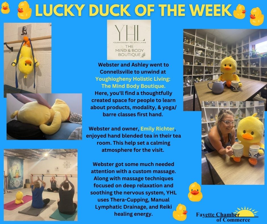 Fayette Chamber tweet media