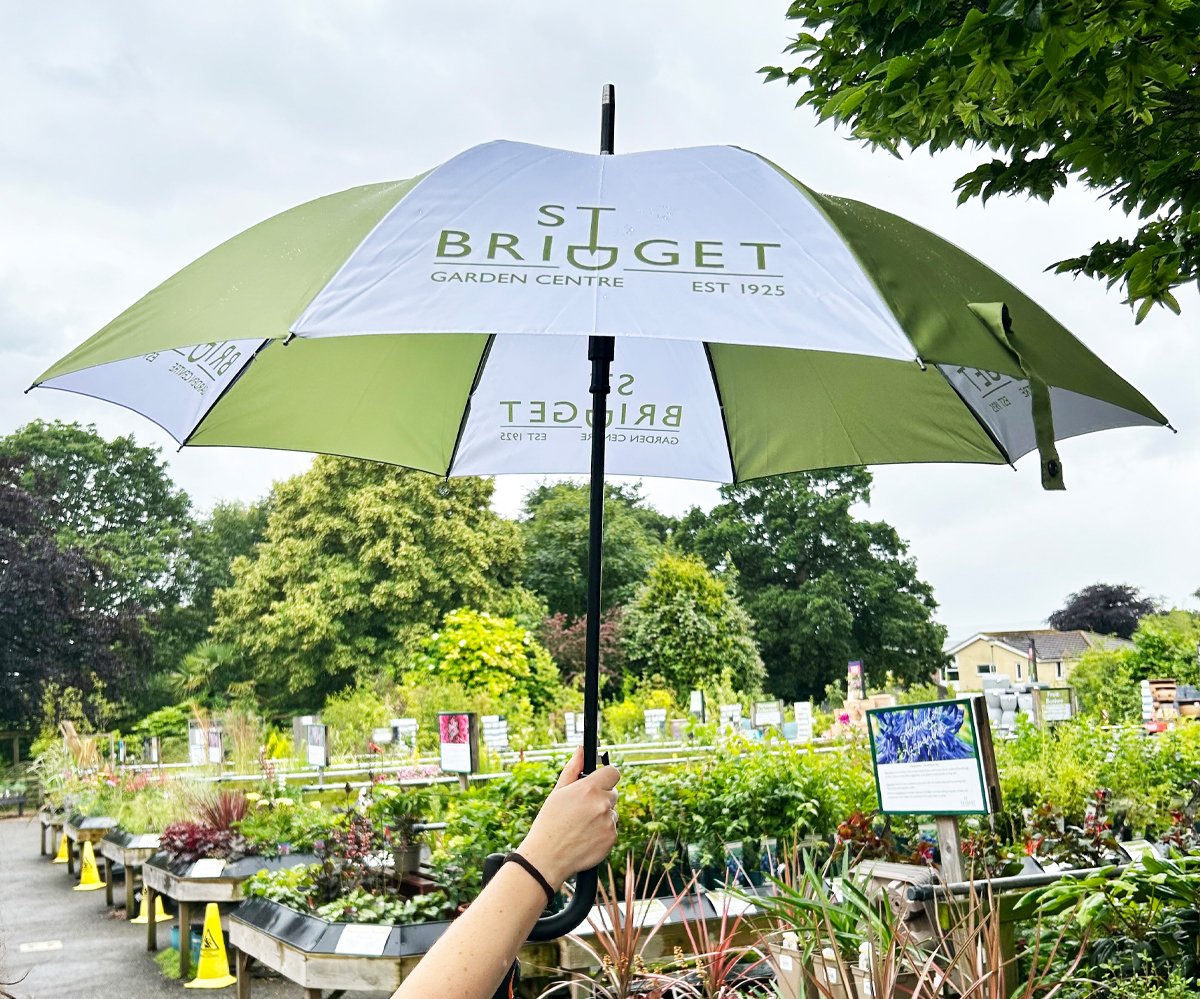 StBridgetExeter's tweet photo. In light of the recent rainy weather we have ordered more of our fabulous umbrellas. If you'd like a St Bridget brolly, please pop into our Garden Centre shop, where we currently have plenty in stock! ☂️

#stbridgetnurseries #stbridgetbrolly #umbrella #brolly https://t.co/nlEOrqhiM5