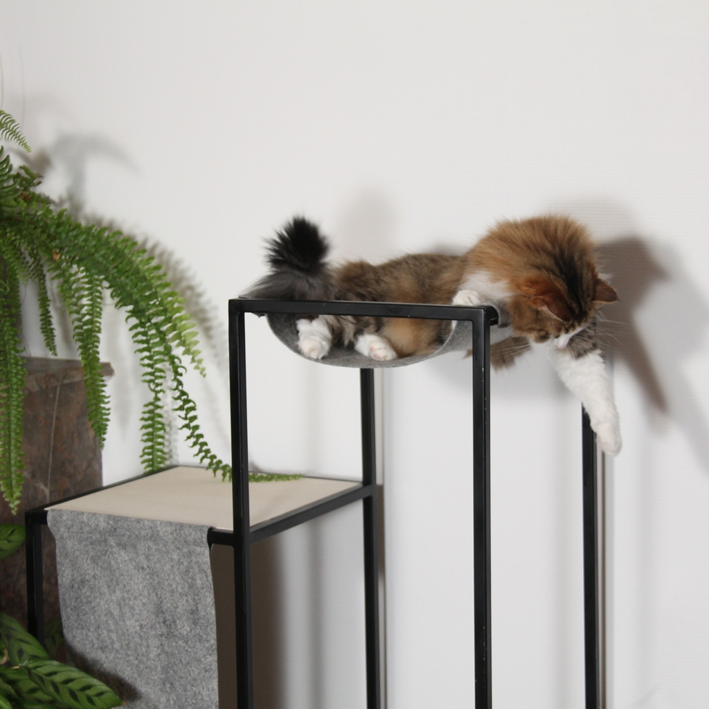 Homycat's tweet image. &quot;Est-ce que j&apos;ai la patte assez grande pour toucher le sol ?&quot;

Nouméa continue d&apos;y croire.. 😹

📸 @mathbdesign / arbre à chat / Homycat.com 

#homycat #griffoir #durable #déco #chat #décodesign #tendance #décointérieur #décotendance #chatjoyeux #chatheureux