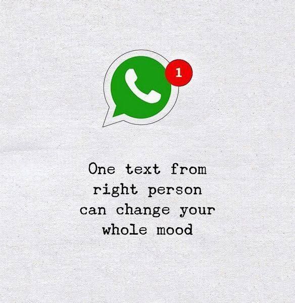 wise_chimp's tweet photo. So true https://t.co/epoef1bgq7