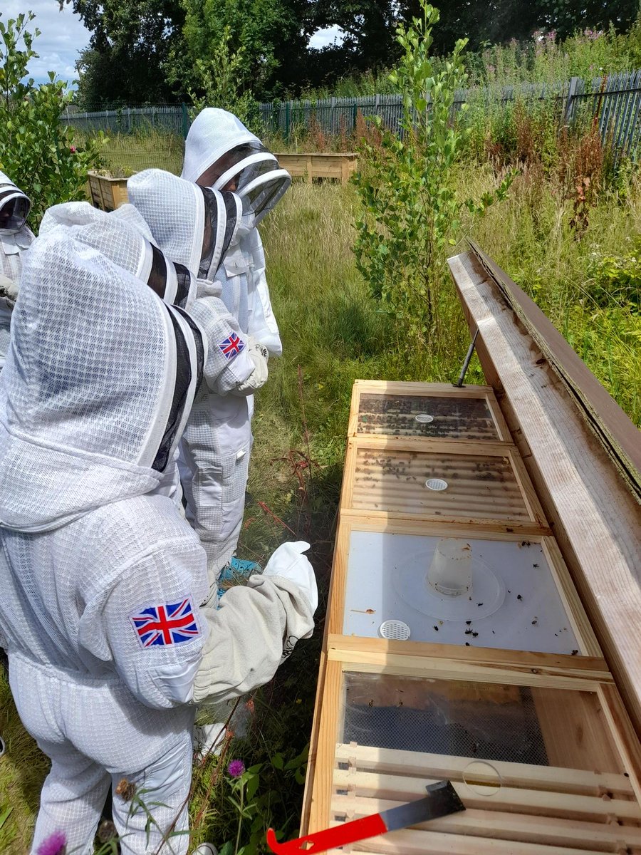 pdcsalternative's tweet photo. Checking in with our Bees again. They are doing fab! So were the children. https://t.co/0mwWgVH7z5