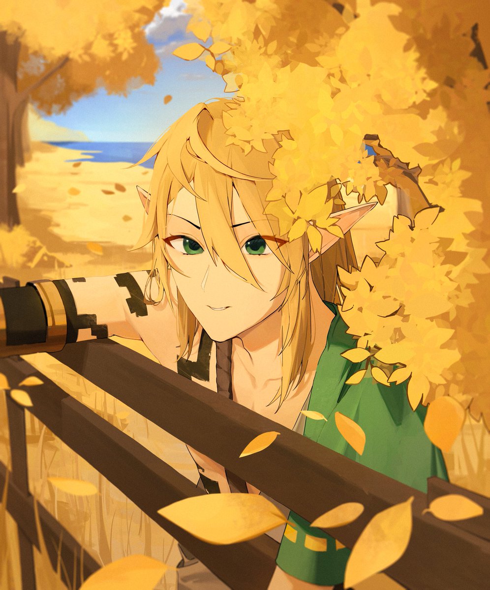 notwidden's tweet photo. #zelda #ZeldaTearsOfKingdom #ZeldaTearsOfTheKingdom #zeldallink https://t.co/uHq36Yu3E3
