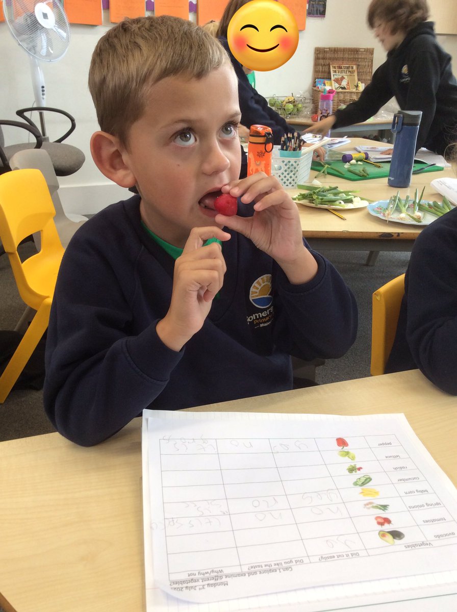 SPMVElm's tweet photo. 🥗This week Elm Class are designing making and evaluating a summer salad.  First we had to test the ingredients - some were more popular than others! 🥗 https://t.co/jrX3ZN4HmV