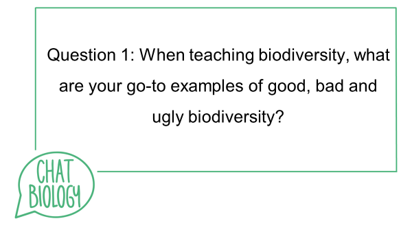 Chat Biology tweet media