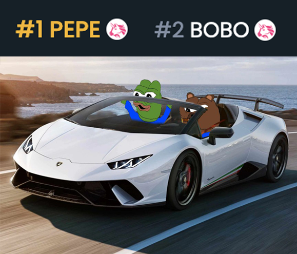 bobocouncil's tweet photo. Get in. 
We're running it back. 
$pepe $bobo 🔥🐻🚀🌕 https://t.co/zNJKWCE0fs