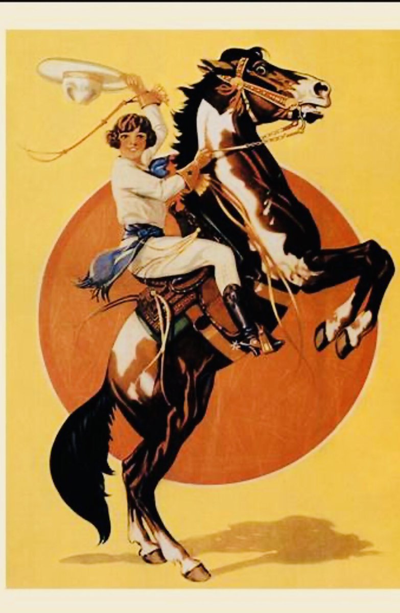 Cindy Cashdollar tweet media