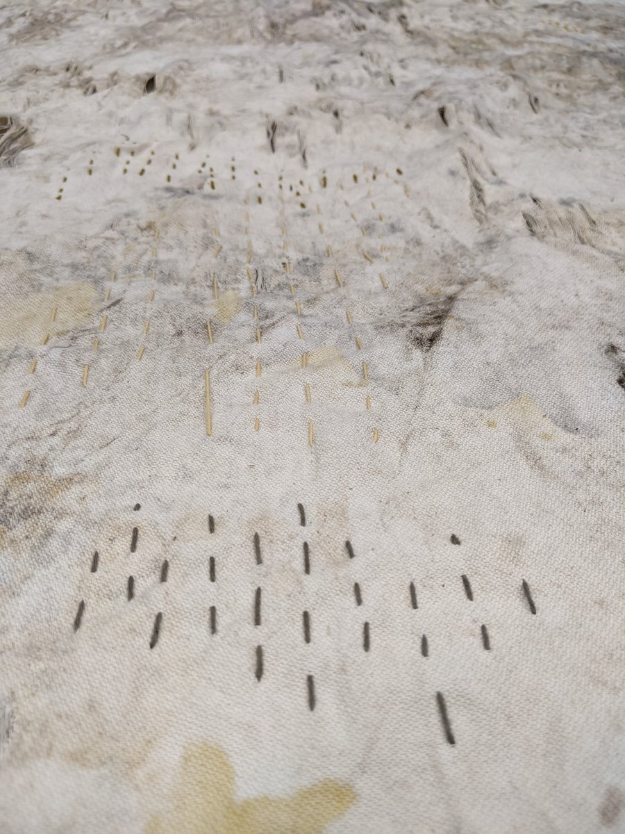 Dr Laura Pottinger tweet media