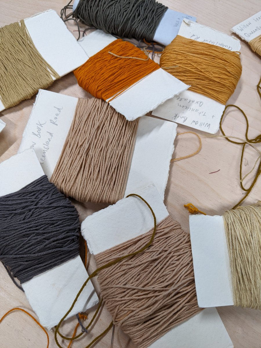 Dr Laura Pottinger tweet media