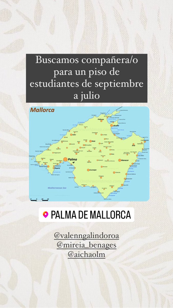 Estamos buscando compañera/o para un piso de estudiantes en Palma de Mallorca! Se agradece difusión😊