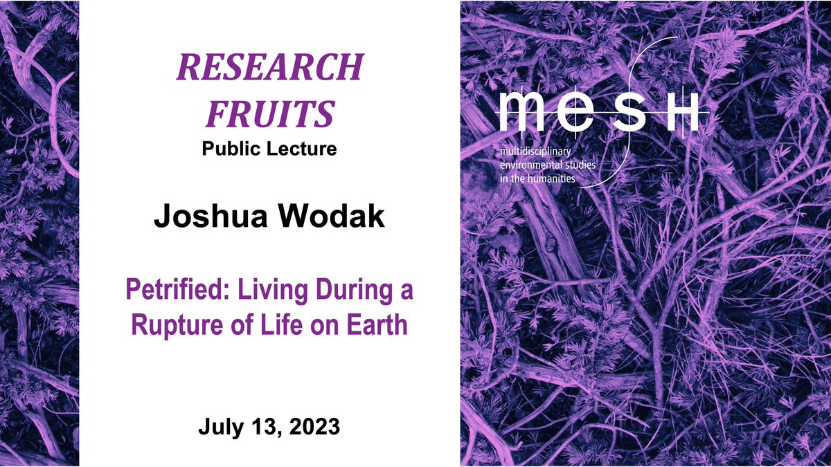 Being or Becoming Petrified? Researcher, writer, and artist Joshua Wodak formulated 2 prisms to engage with the current Rupture of Life on Earth. Come and join us next week! 
mesh.uni-koeln.de/events/researc…