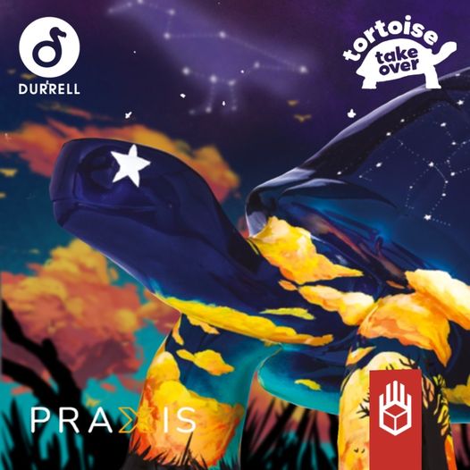 Very proud of our favourite designer, Mike Harris at @pixelhands, for the two beautiful tortoises decorated by him as part of <a href="/DurrellWildlife/">Durrell Wildlife Conservation Trust</a>'s #tortoisetakeover.  Try to find them all, but keep a special lookout for  'Astral Race' and 'In the stars'!