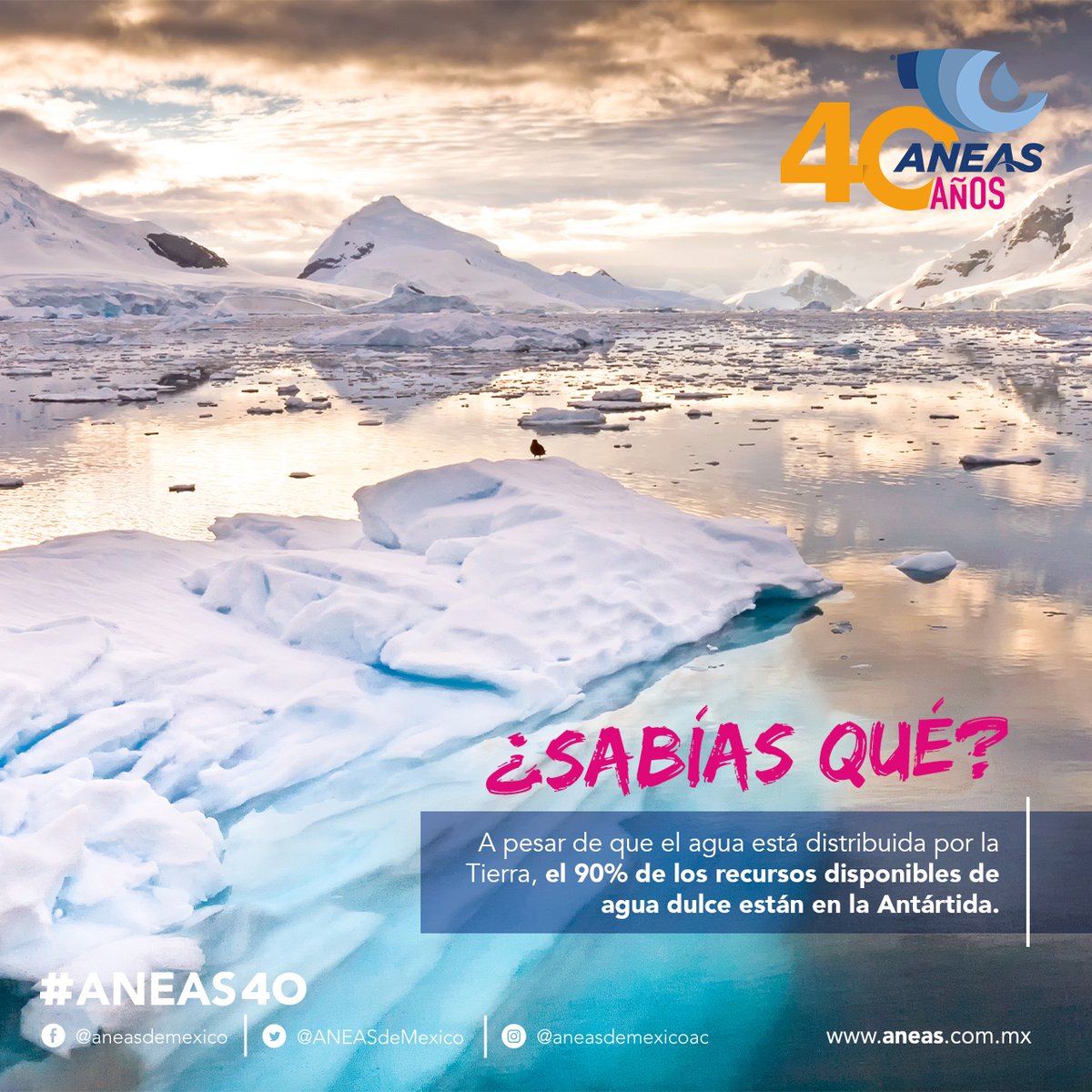 ANEASdeMexico's tweet photo. Aunque el #agua💧 está en todos lados, no toda es apta para el consumo humano.

#ANEAS40 #LaRedHidricaDeMexico #DatosDelAgua #CulturaDelAgua https://t.co/2DFZwI9lWh