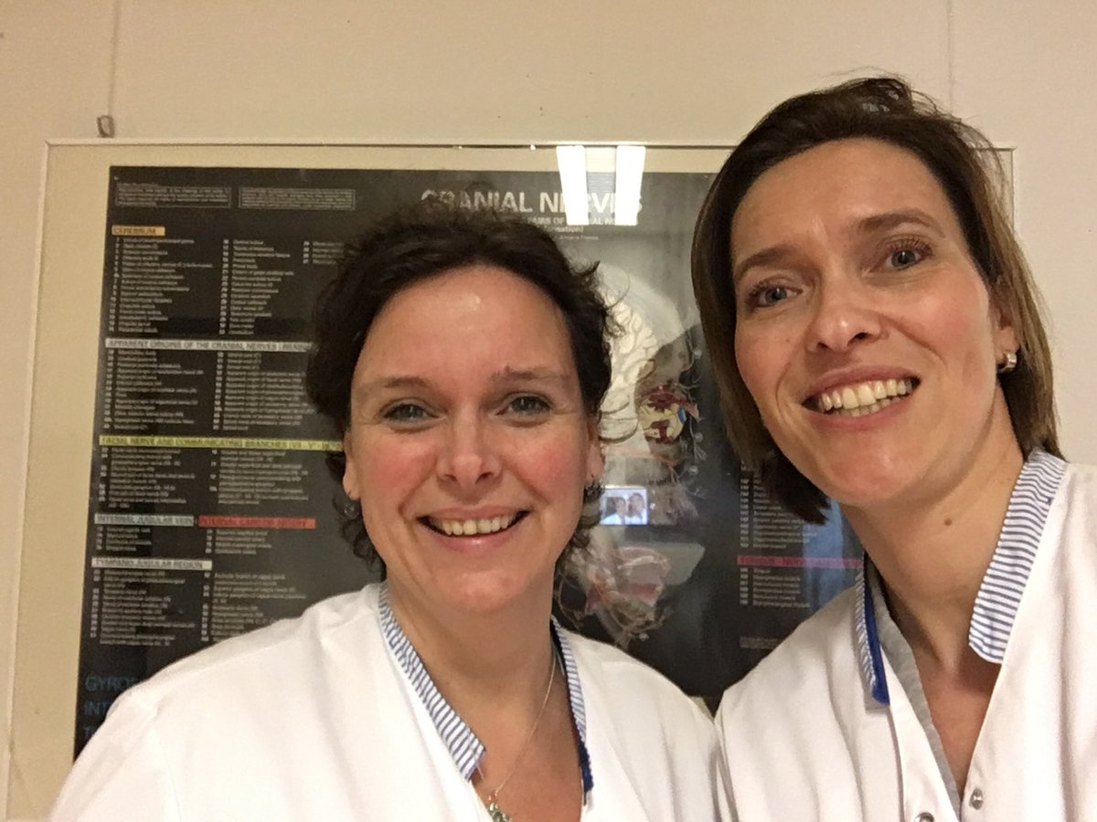 Anouk de Vries tweet media