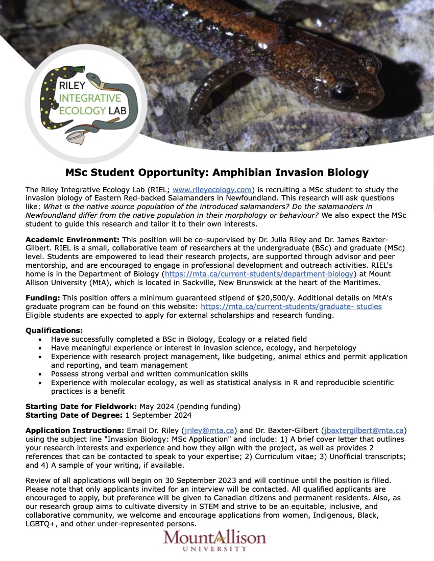 Dr. Julia Riley (@jr4science) on Twitter photo 🦎⭐️ @JamesBG_27 and I are searching for a MSc student to join #RIEL <a href="/MTABiology/">MTA Dept. of Biology</a> next summer!
Are you interested in invasion biology and how animals adapt to new environments? Check out the ad and lab website for more (rileyecology.com). Pls share & apply by Sept 30! ⭐️🦎 🦎⭐️ @JamesBG_27 and I are searching for a MSc student to join #RIEL <a href="/MTABiology/">MTA Dept. of Biology</a> next summer!
Are you interested in invasion biology and how animals adapt to new environments? Check out the ad and lab website for more (rileyecology.com). Pls share & apply by Sept 30! ⭐️🦎