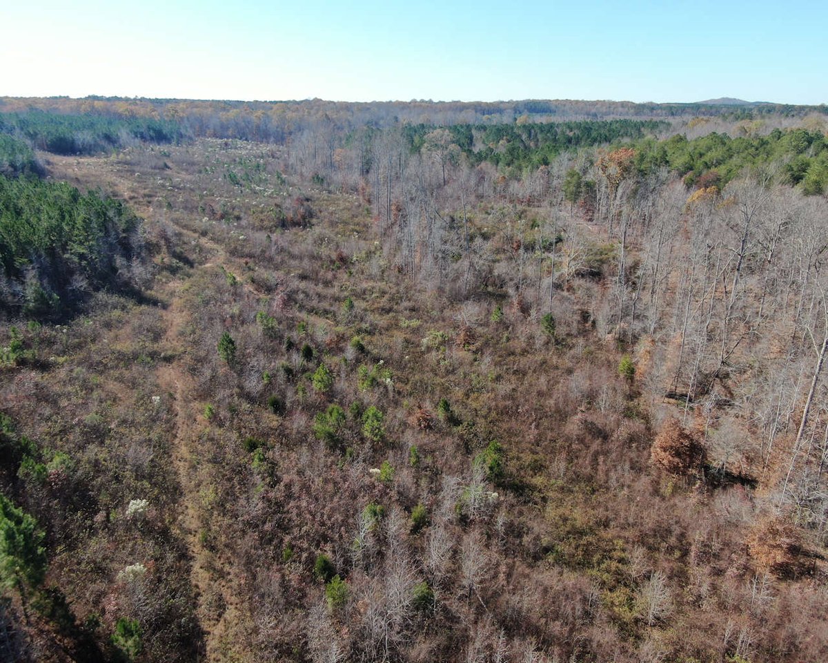 Carolina Land Company, LLC is pleased to have represented the landowner in the sell of his 109 +/- acres on Warrior Creek Church Road in Gray Court, SC.  Call us at 864-232-6922 if you have land for sale in Upstate SC and want to use the services of a professional land broker.